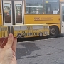 beküldő: Nagy Mario Attila<br />dátum: 2018. június 30.<br /><br />leírás: "A VOLT fesztivál miatt kapta kölcsön Sopron a győri CCP-293-as Ikarust néhány napra. Ezt a busz sofőrjének adtam."